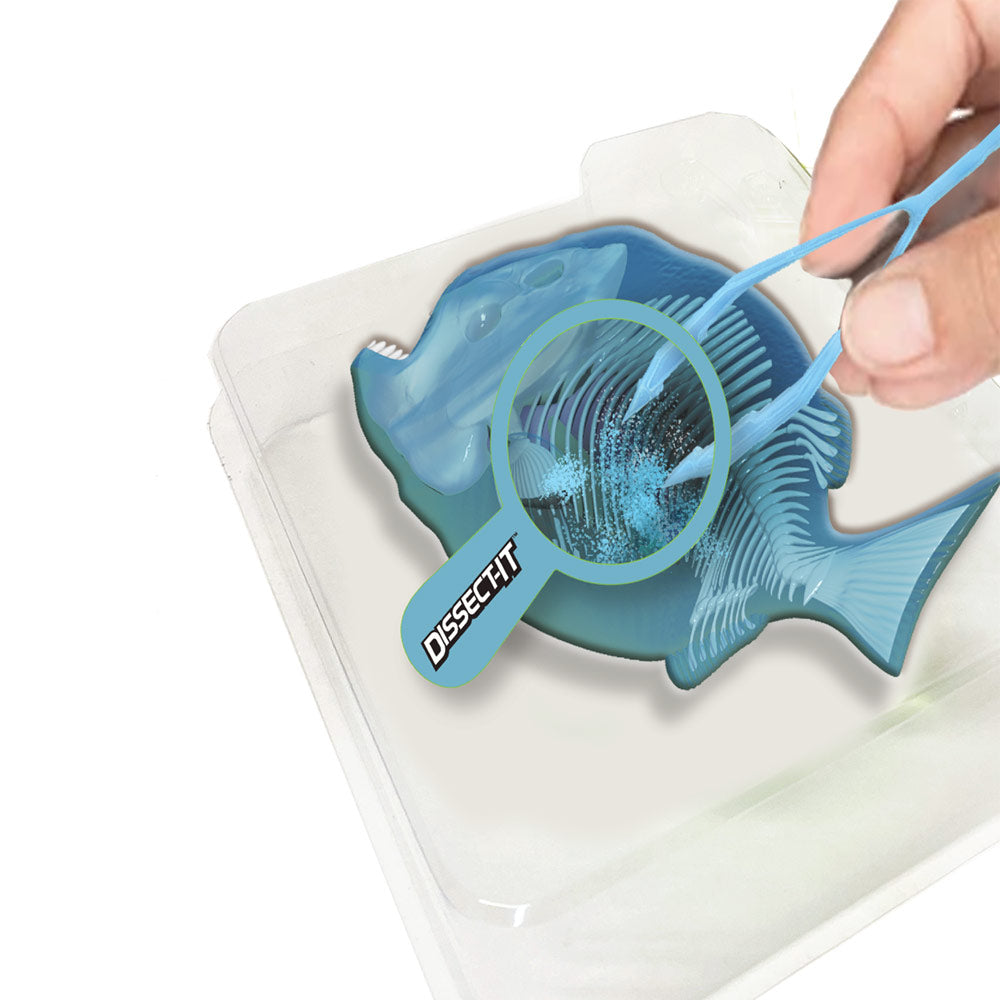 Slimy Dissect-it-in Gift Box Set Piranha Experiment STEM Toy