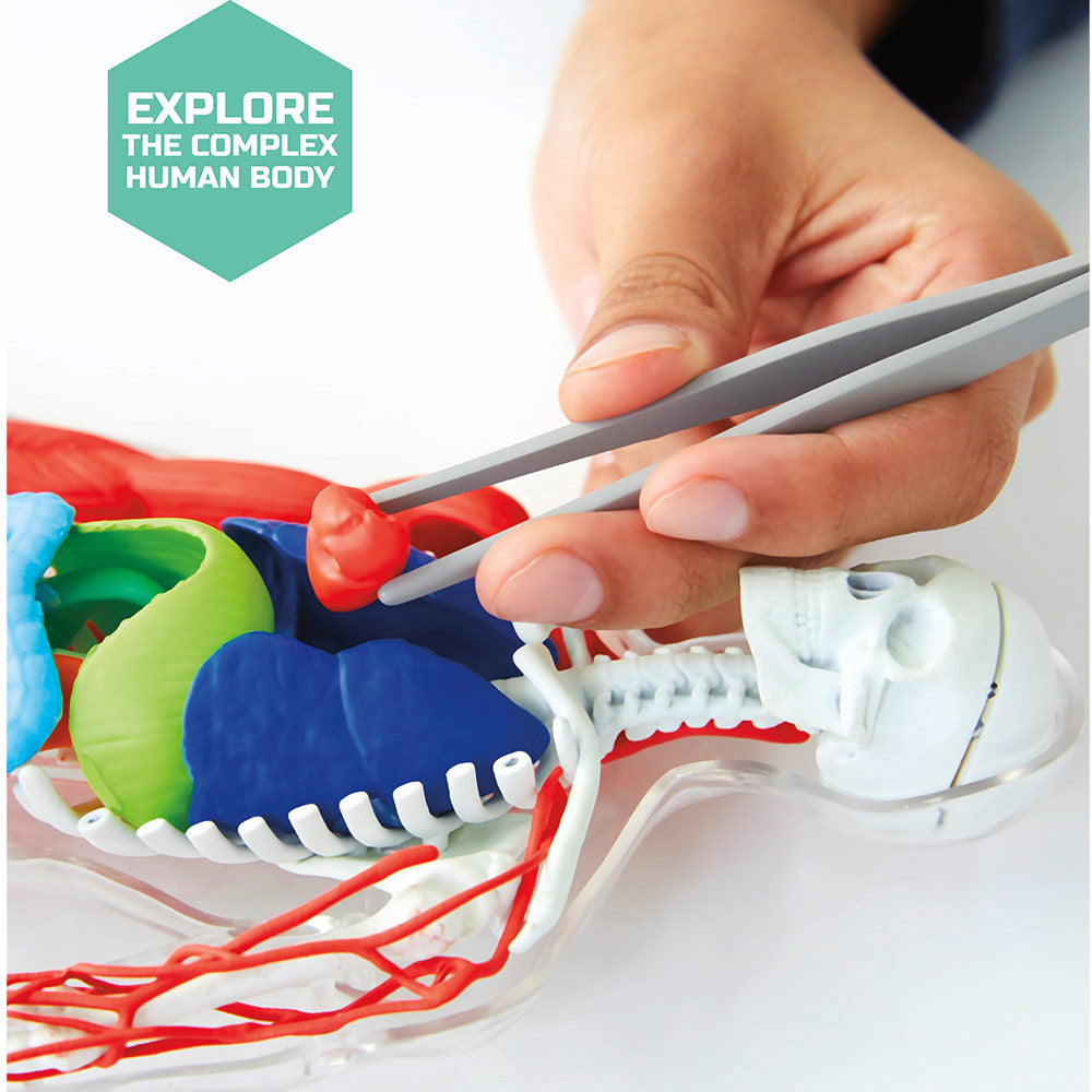 Discovery Mindblown Human Anatomy Kit STEM Toys