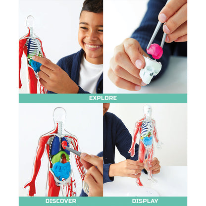 Discovery Mindblown Human Anatomy Kit STEM Toys