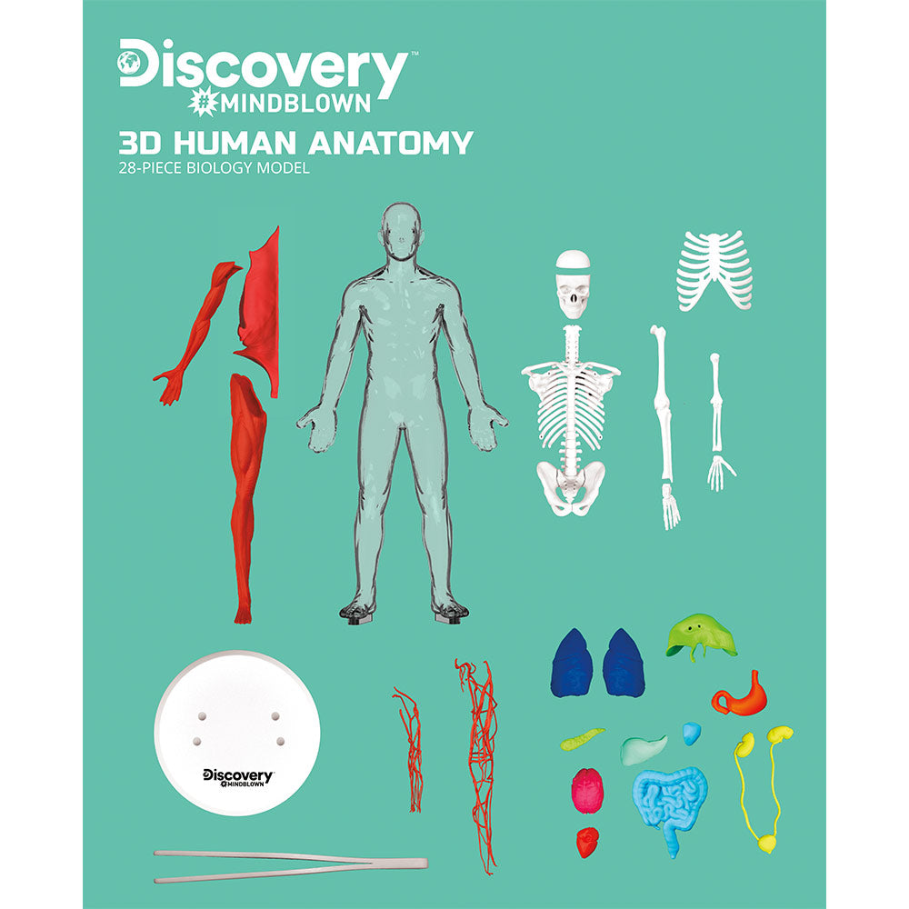 Discovery Mindblown Human Anatomy Kit STEM Toys