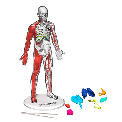 Discovery Mindblown Human Anatomy Kit STEM Toys