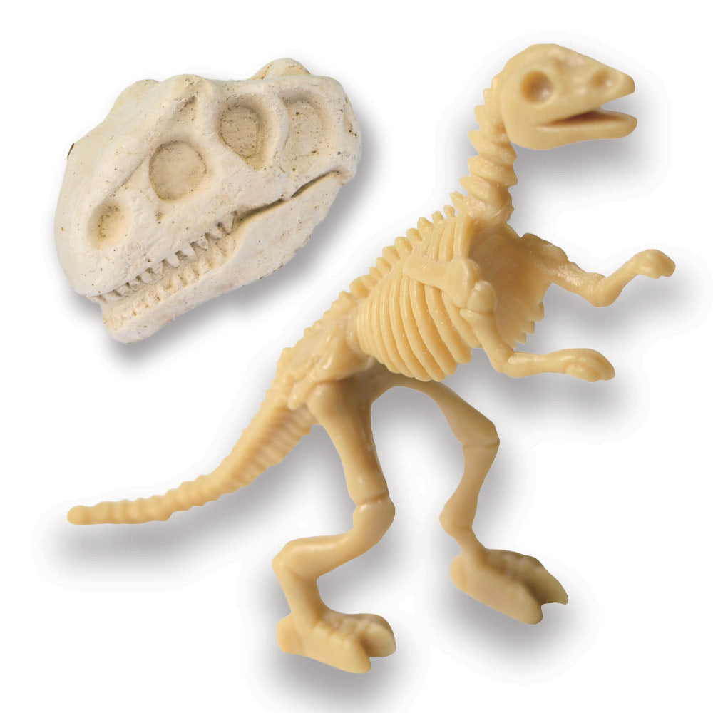 Mad Toys Dinosaur 5 Skeleton Fossils Dig Excavation Science Kit