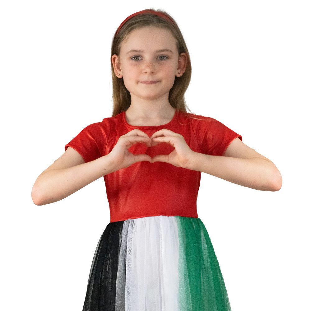 Mad Toys UAE National Day Dress Kids Costume