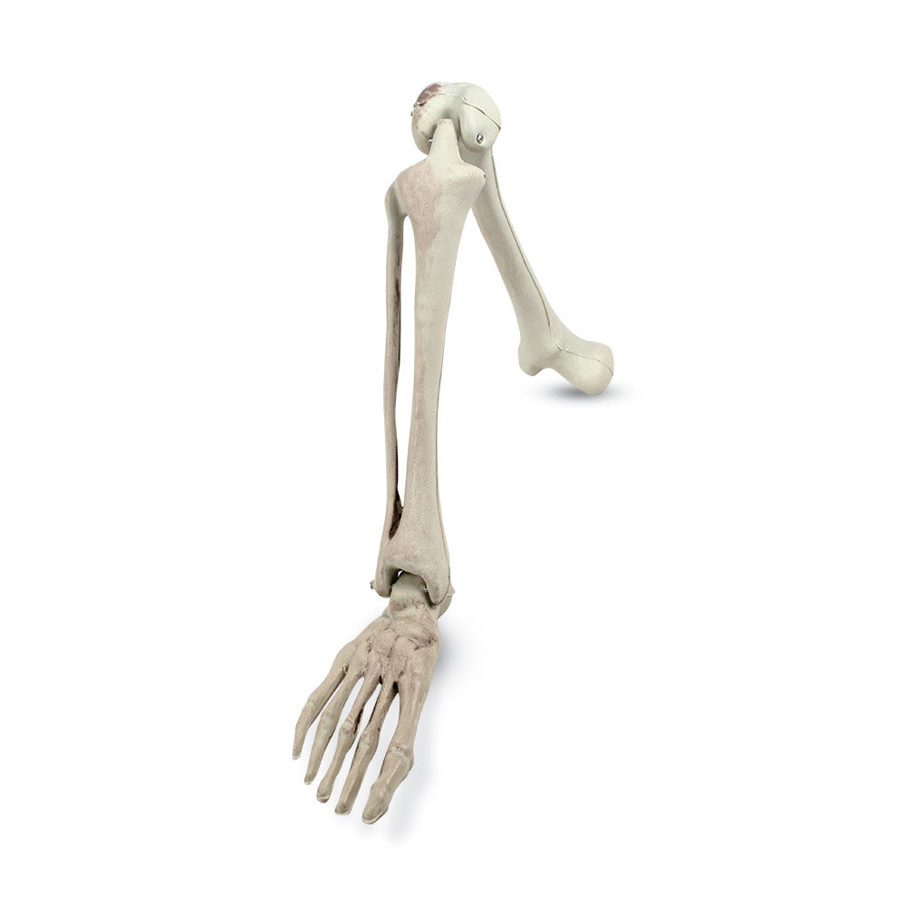 Mad Toys Life Size Groundbreaking Skeleton for Outdoor Halloween Decor and Props