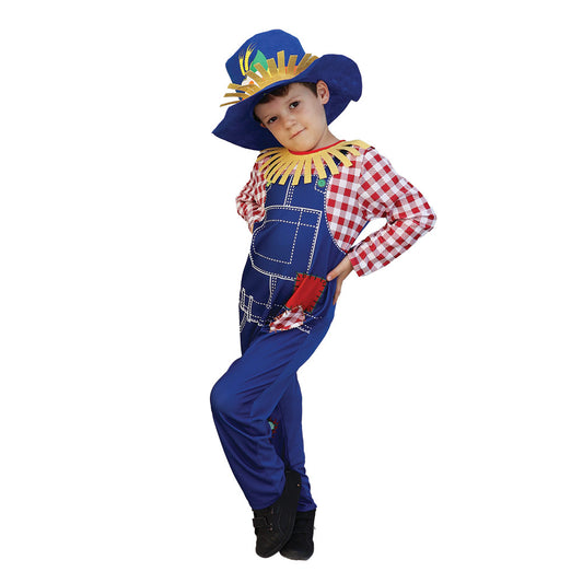 Mad Toys Scarecrow Boy Book Week and World Book Day Roleplay Halloween  Child Costumes