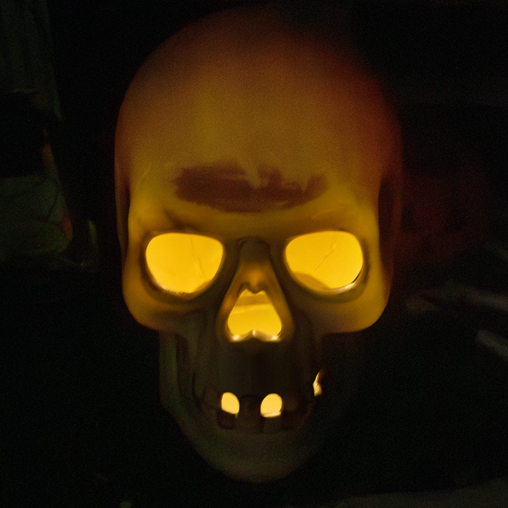 Mad Toys Creepy 14-Inch Giant Light-Up Skull Halloween Decoration