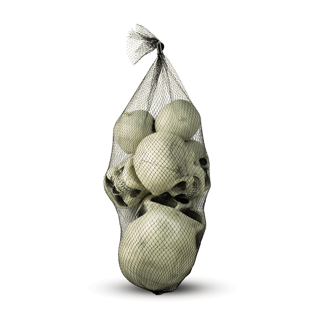 Mad Toys Creepy 6Pieces Assorted Skulls Halloween Decoration Costume