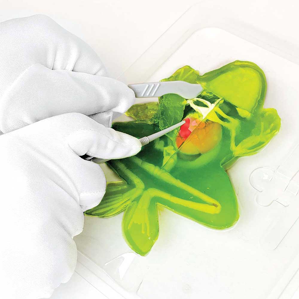 Slimy Dissect-It Frog Simulated Synthetic Lab Dissection STEM Slime Kit Toy