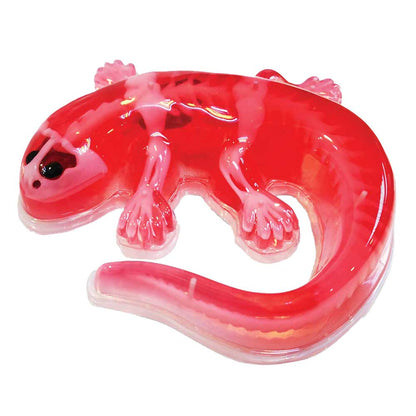 Slimy Dissect-It Salamander Simulated Synthetic Lab Dissection STEM Toy