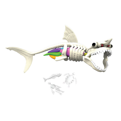 Slimy Dissect-It Shark Anatomy Super Lab Kit, 40-Piece STEM Dissection Model with Mystery Skeleton & Refill Mix