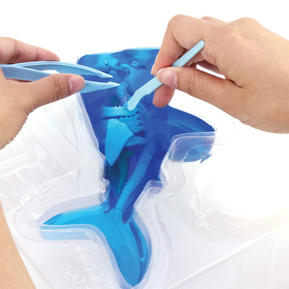 Slimy Dissect-It Shark Anatomy Super Lab Kit, 40-Piece STEM Dissection Model with Mystery Skeleton & Refill Mix