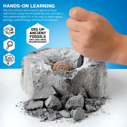 Discovery Mindblown Fossil Unearthed 2-Pack Mini Excavation Kit
