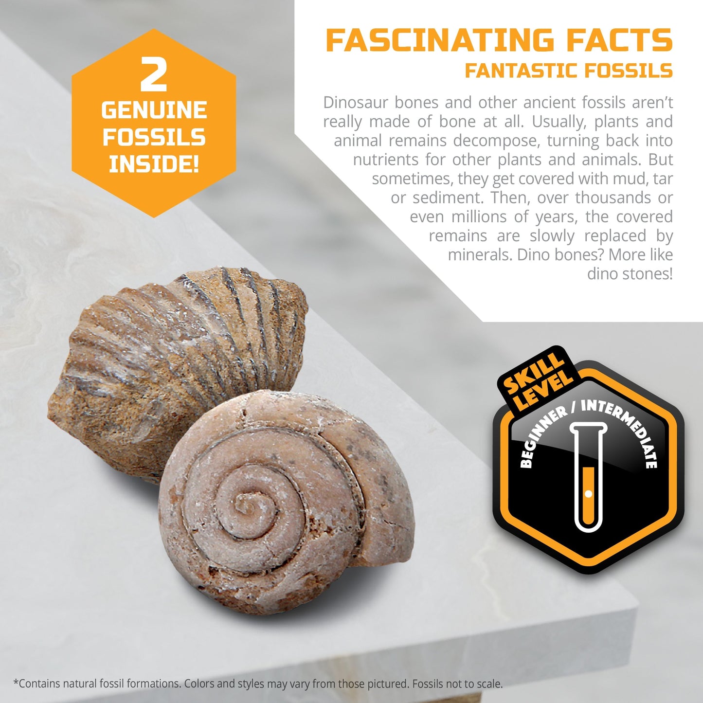 Discovery Mindblown Fossil Unearthed 2-Pack Mini Excavation Kit