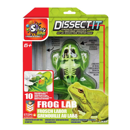 Slimy Dissect-It Frog Simulated Synthetic Lab Dissection STEM Slime Kit Toy