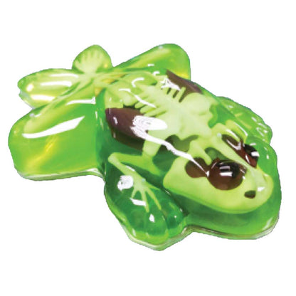 Slimy Dissect-It Frog Simulated Synthetic Lab Dissection STEM Slime Kit Toy