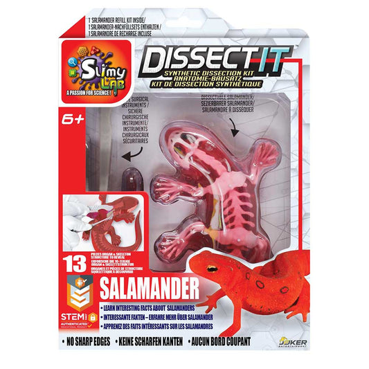 Slimy Dissect-It Salamander Simulated Synthetic Lab Dissection STEM Toy
