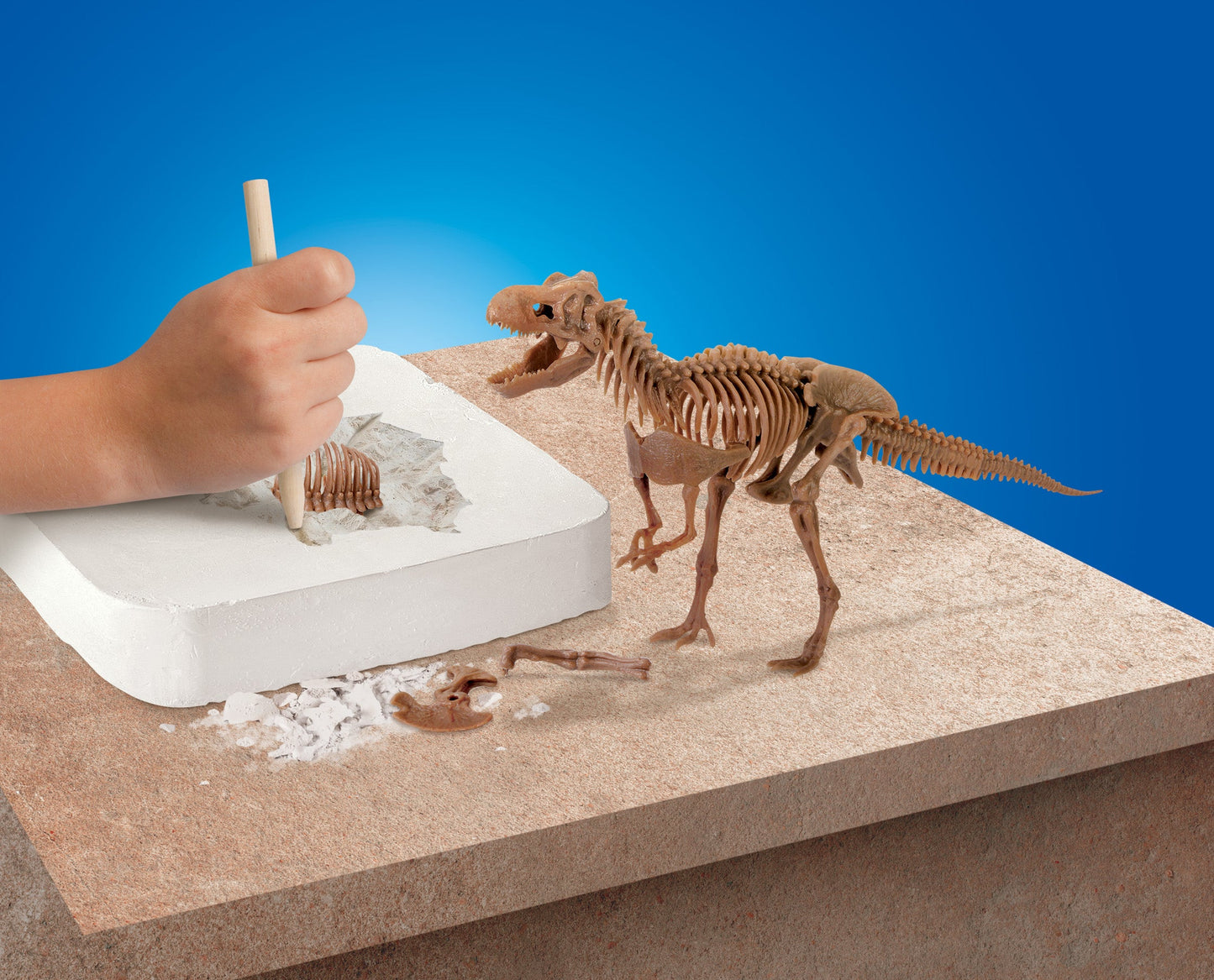 Discovery #MINDBLOWN 15 Piece Dinosaur 3D Fossil Dig Excavation Kit, T-Rex Skeleton Puzzle, Dig for Bones with Included Tools