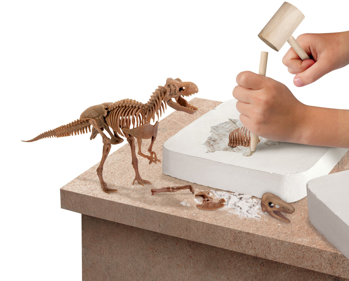 Discovery #MINDBLOWN 15 Piece Dinosaur 3D Fossil Dig Excavation Kit, T-Rex Skeleton Puzzle, Dig for Bones with Included Tools