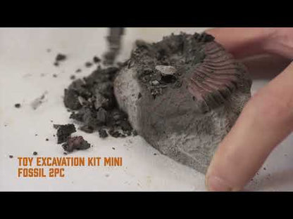 Discovery Mindblown Fossil Unearthed 2-Pack Mini Excavation Kit, with 5-pieces Unique And Natural Fossil